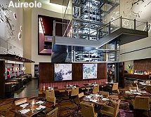 Aureole