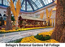 Bellagio Conservatory and Botanical Gardens - Fall 2015