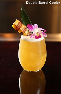 Double Barrel Cooler