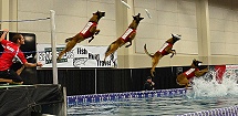 International Sportsman Show Las Vegas