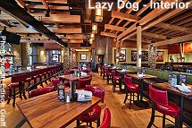 Lazy Dog interior