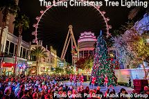 LINQ Christmas tree lighting