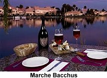 Marche Bacchus