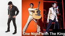 One Night With The King
