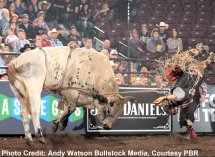 PBR Desert Showdown