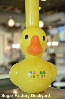 Sugar Factory Duck Yard