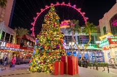 The LINQ Promenade�s Holiday Tree Lighting Event